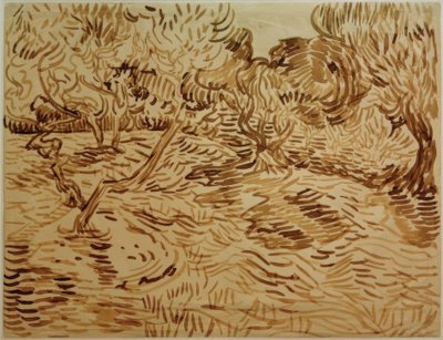 Olive Grove by Vincent van Gogh